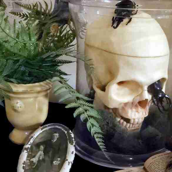 Halloween Skeleton Bone Gallery Display