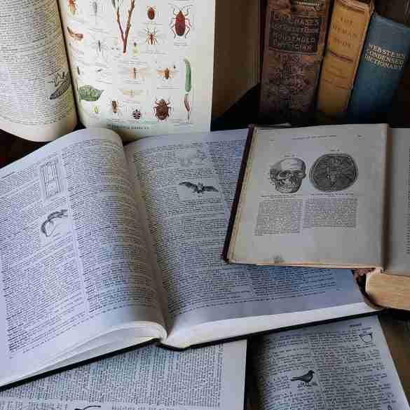 Use Old Books For Crafting A Creepy Halloween