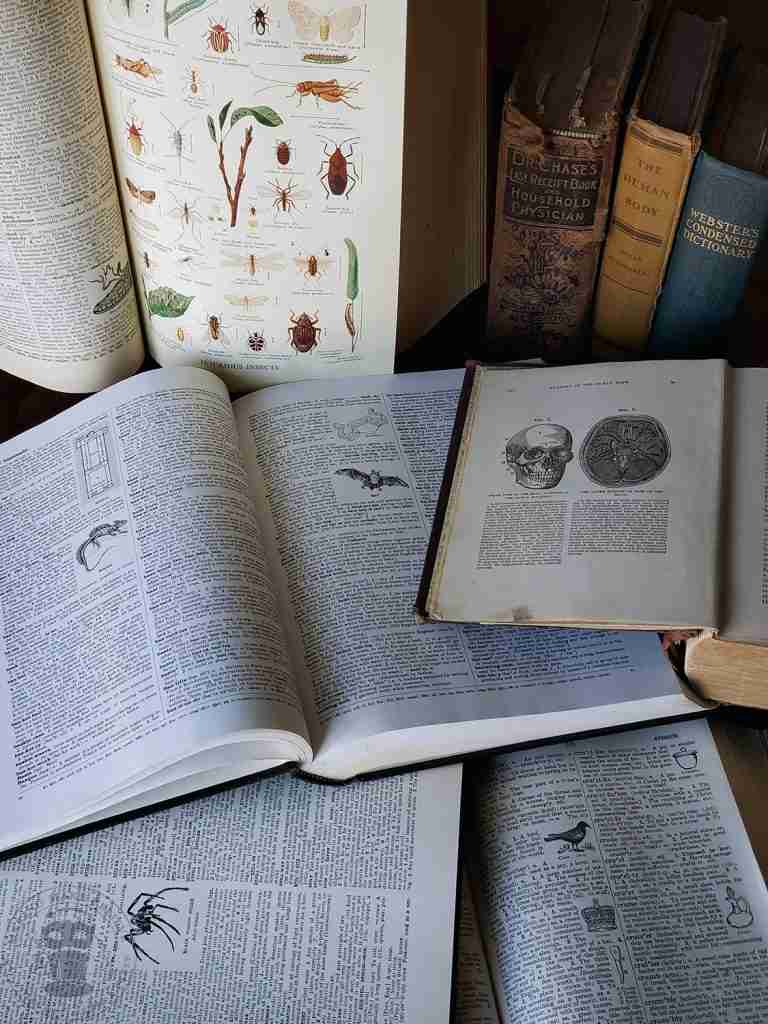 Use Old Books For Crafting A Creepy Halloween