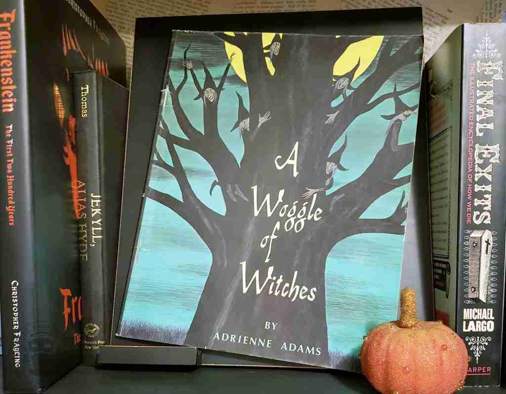 A Woggle of Witches by Adrienne Adams