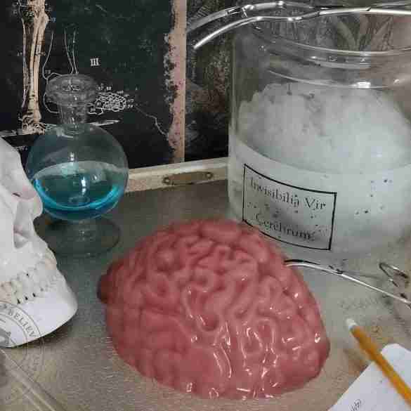 Mad Lab Jello Brains For Halloween