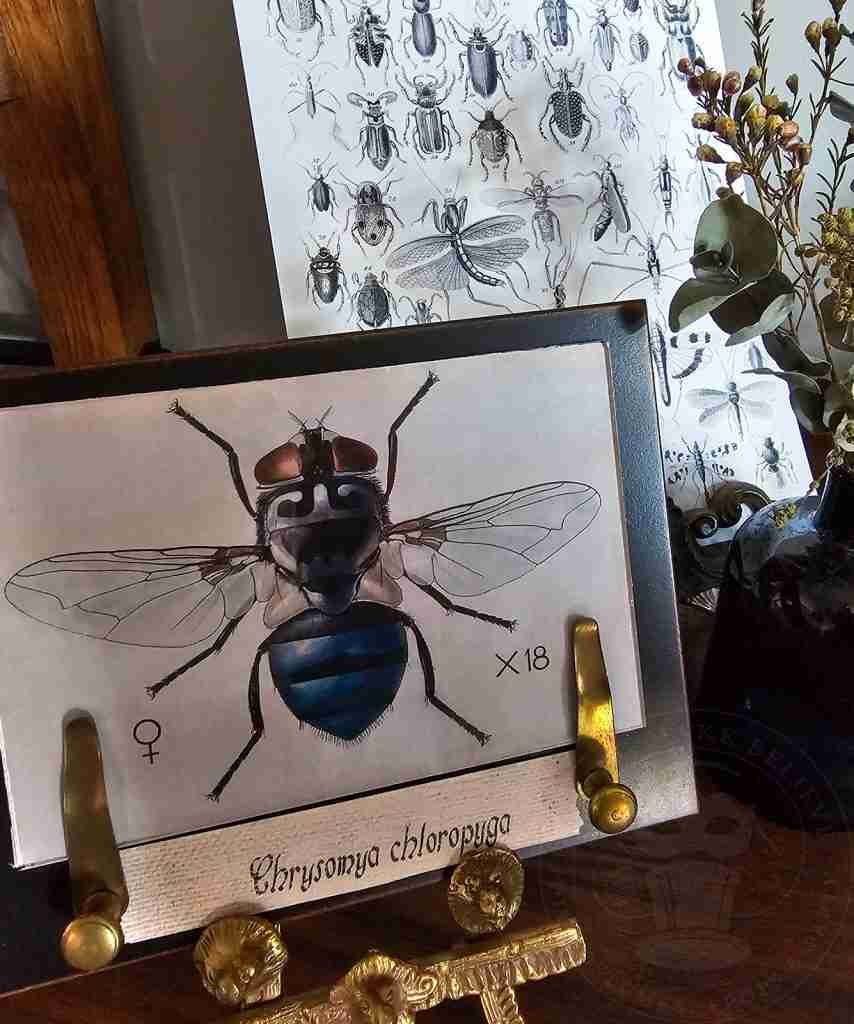 Creepy Crawlies Printables