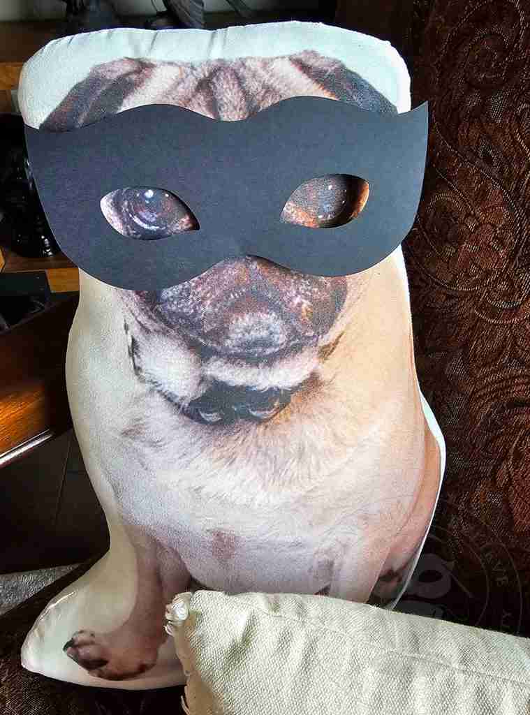 Halloween Masquerade Masks