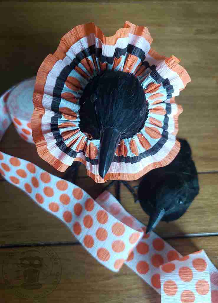 Halloween Crow with Vintage Style Collar