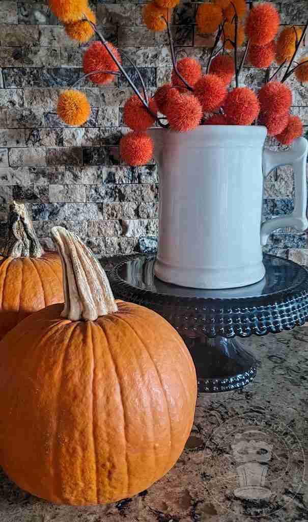 Baking pumpkins Fall display