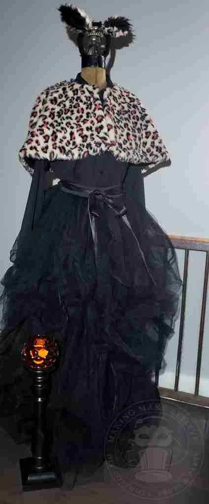 Kitty Cat Costume for Trunk Or Treat