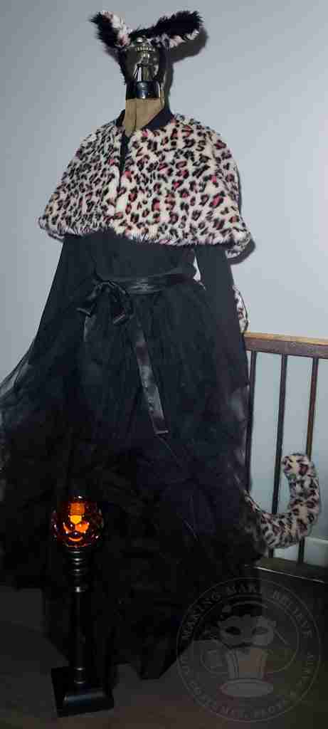 Kitty Cat Costume for Trunk Or Treat