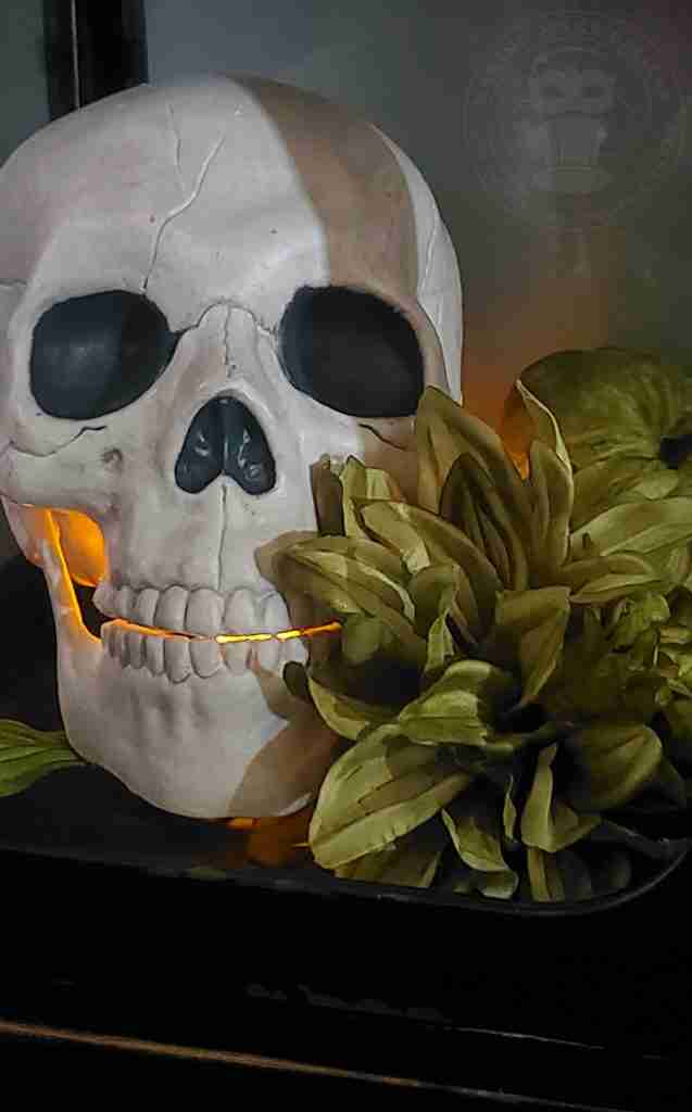Skull in lantern display