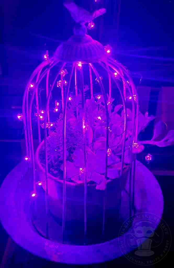 Spooky Botanicals