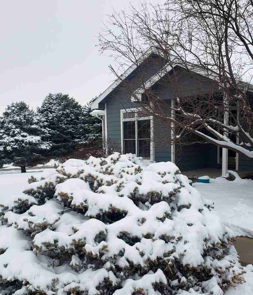Snow