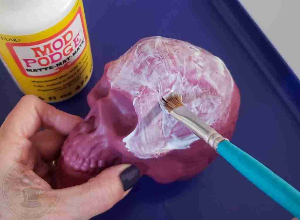 Spread Glue Onto Skull with Brush
