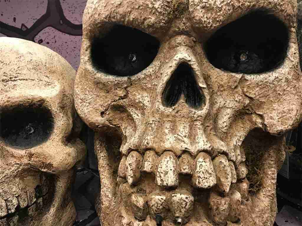 Buying Halloween Decor - Giant Skull
