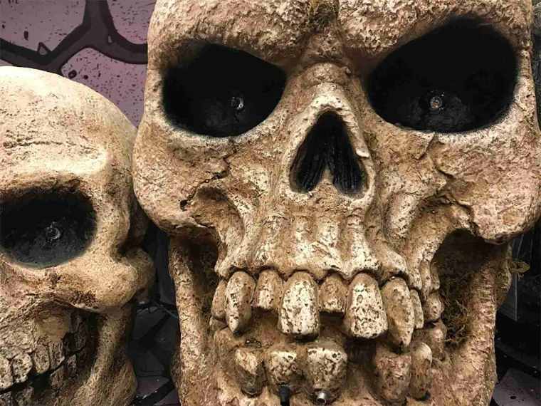 Buying Halloween Decor - Giant Skull