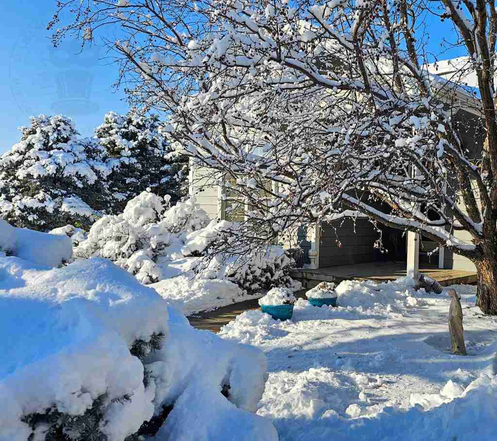 Snow Day January 2024