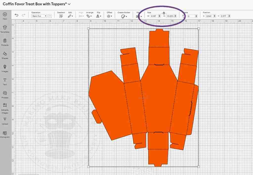 Coffin Favor Box Dimensions