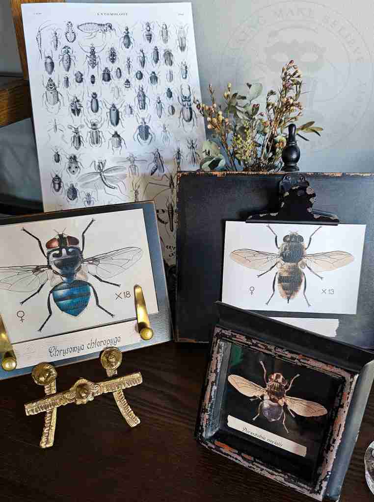Creepy Crawlies Collection
