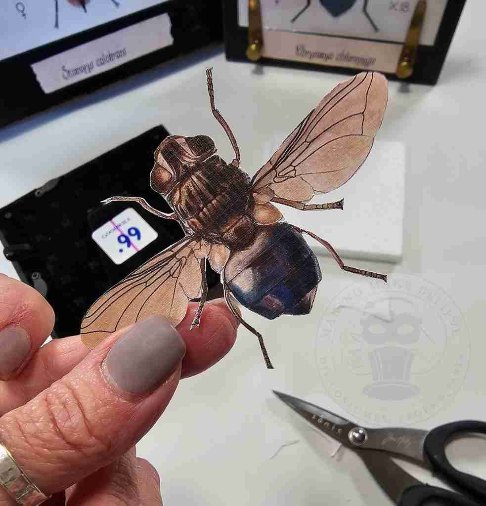Creepy Crawlies Cut Out