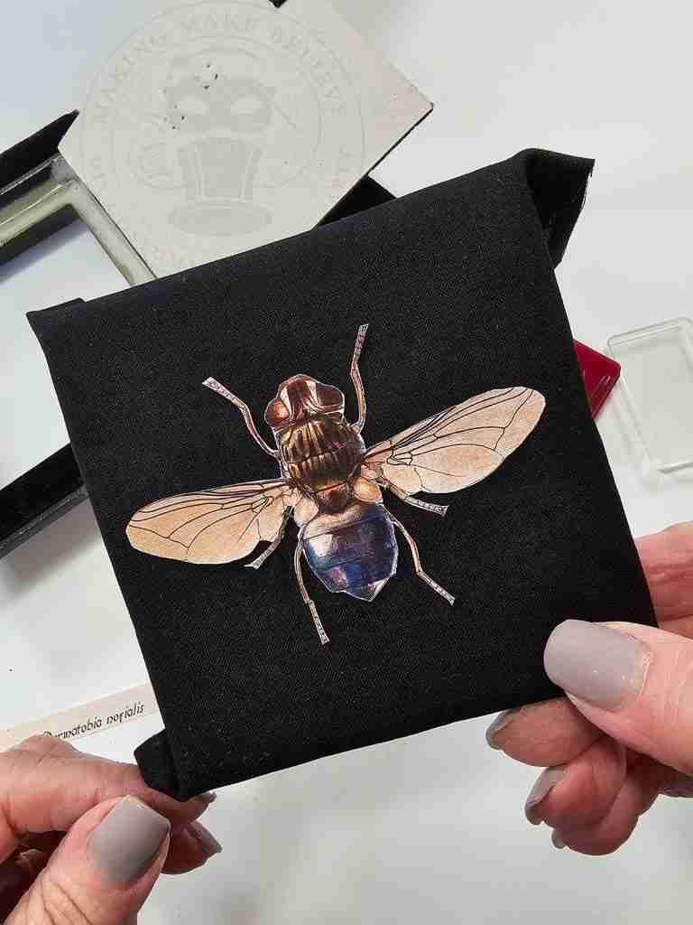 Mount Creepy Crawlies To Foam