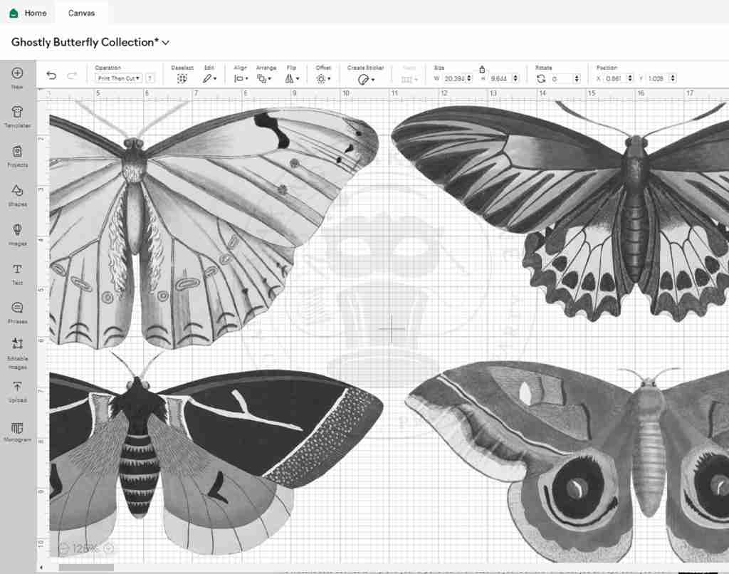 Ghostly Butterfly Collection