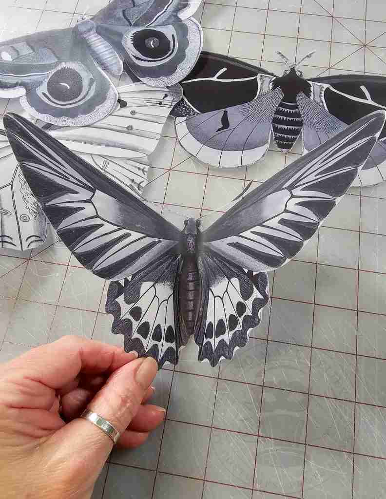 Fold Up Wings