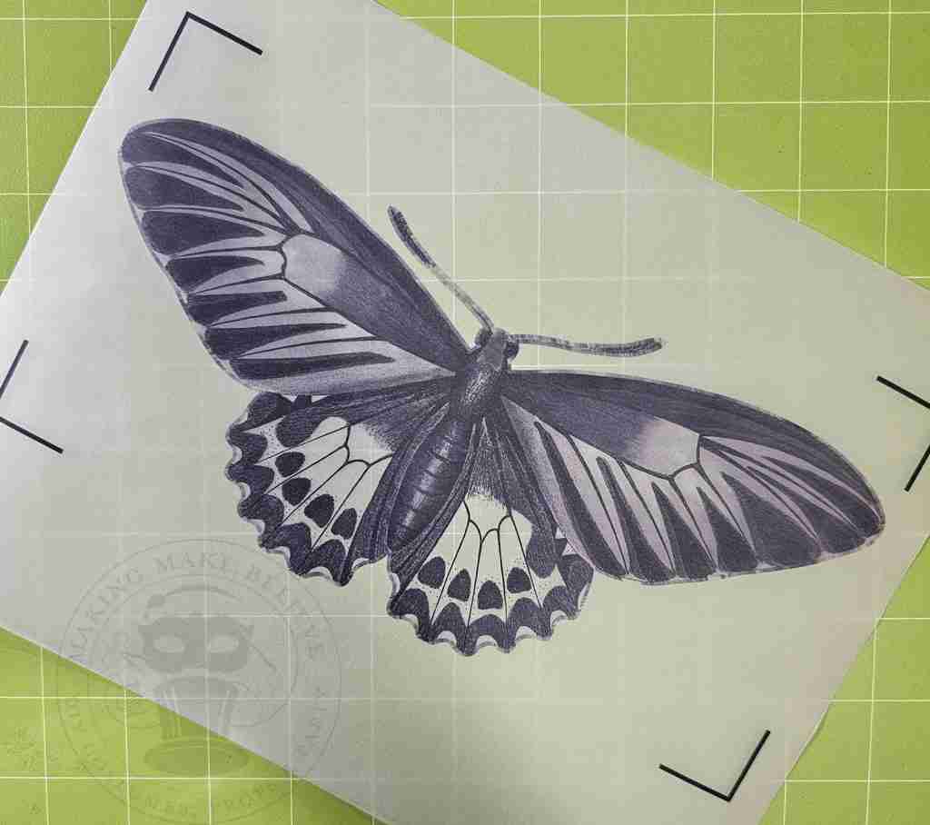 Ghost Butterfly on Vellum
