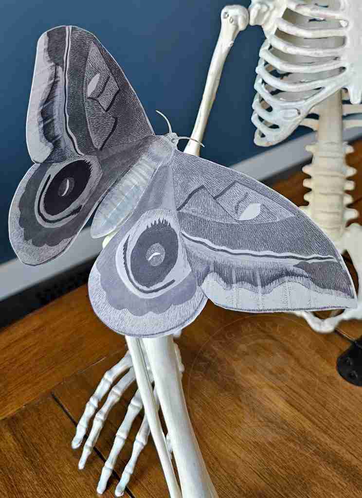 Halloween Ghost Butterfly