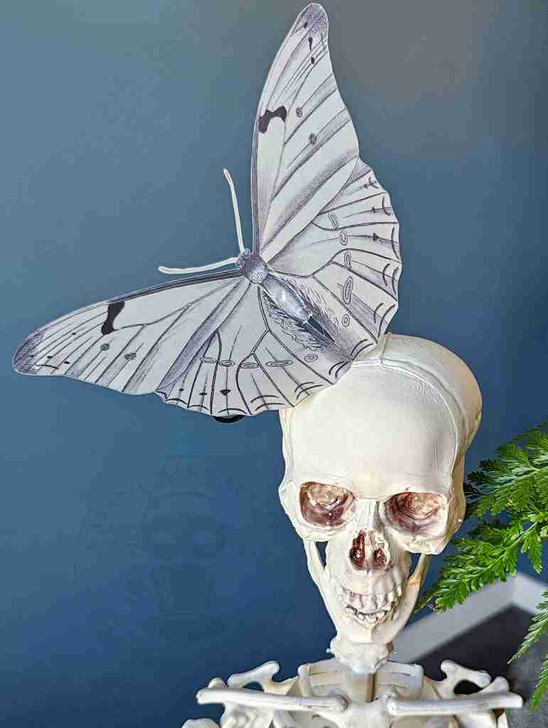 Halloween Ghost Butterfly