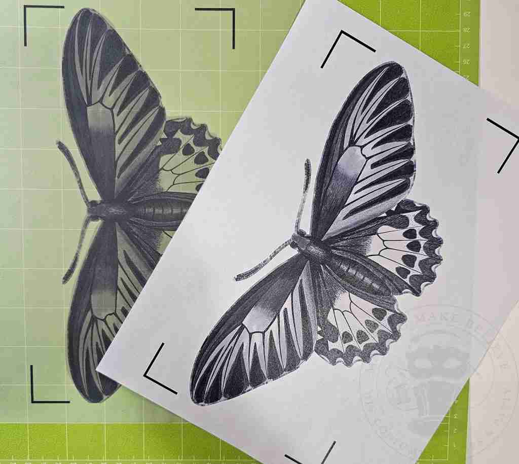 Ghost Butterfly on Paper