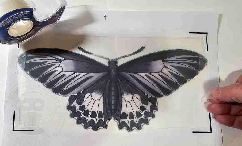 Tape Paper w Marks Over Vellum Image
