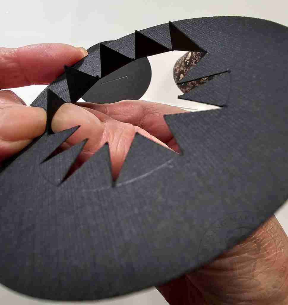 Fold Brim Section Upward