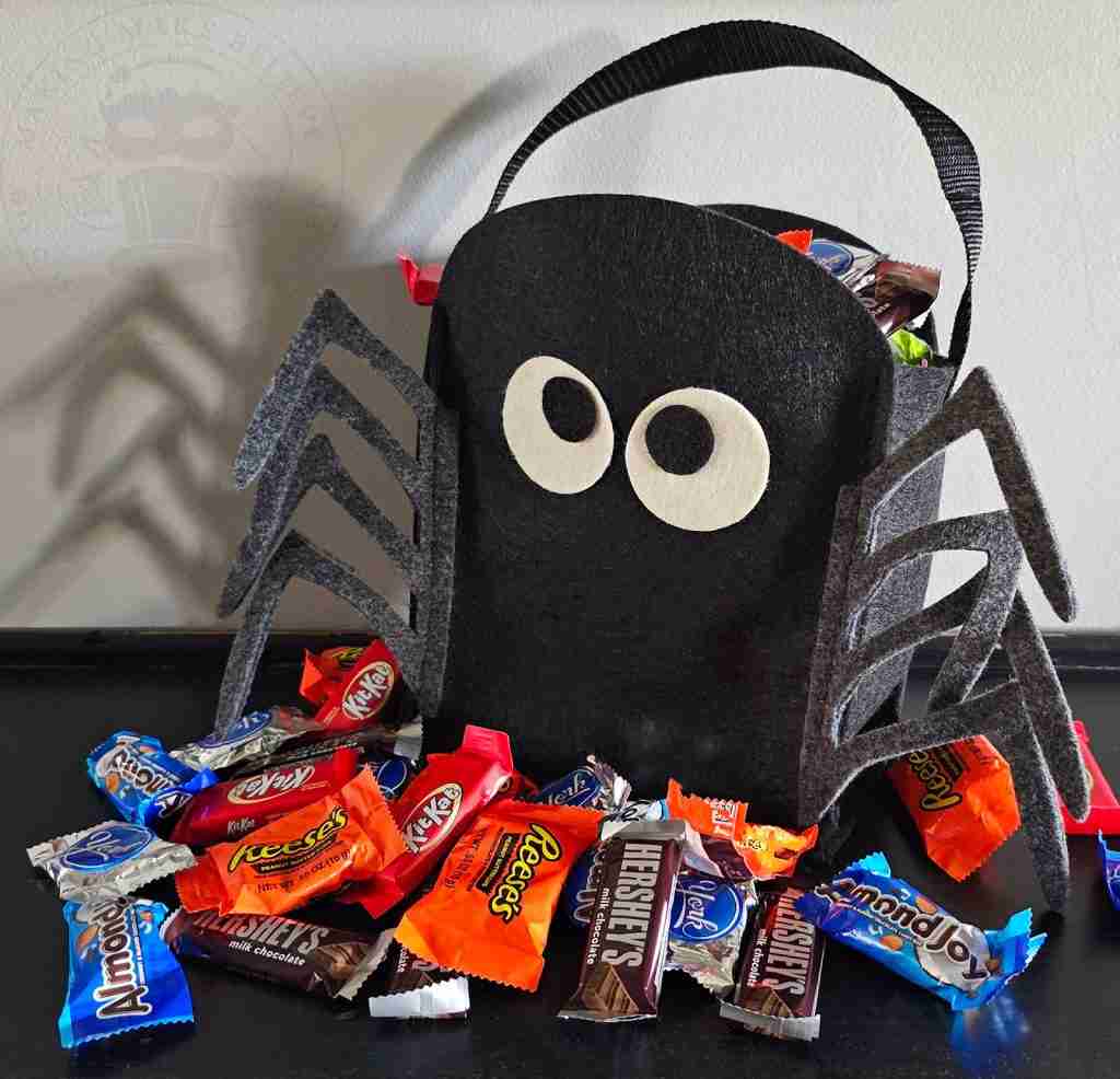 Spider Trick or Treat Bag