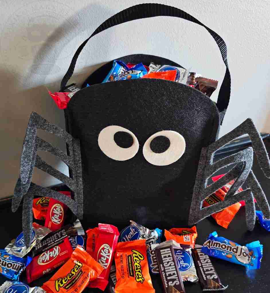 Spider Trick or Treat Bag