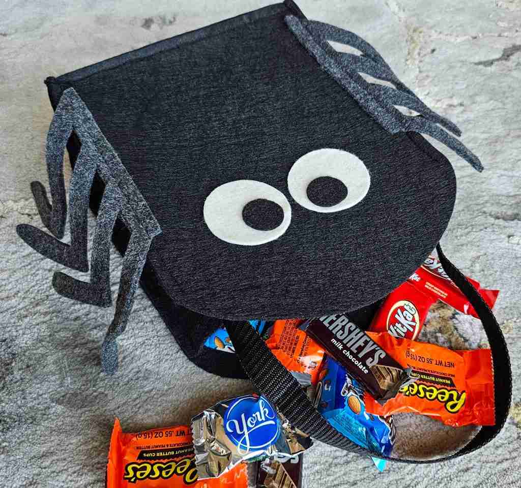 Spider Boo Bag