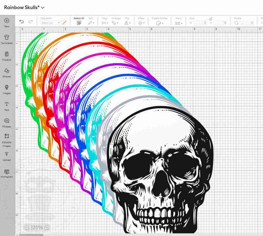 Rainbow Skulls Cricut SS