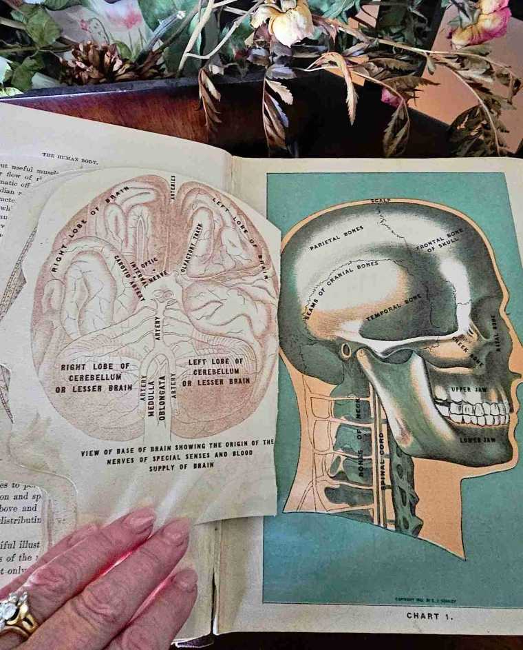 Haunted Haul Health and Longevity 1914 Book Skull