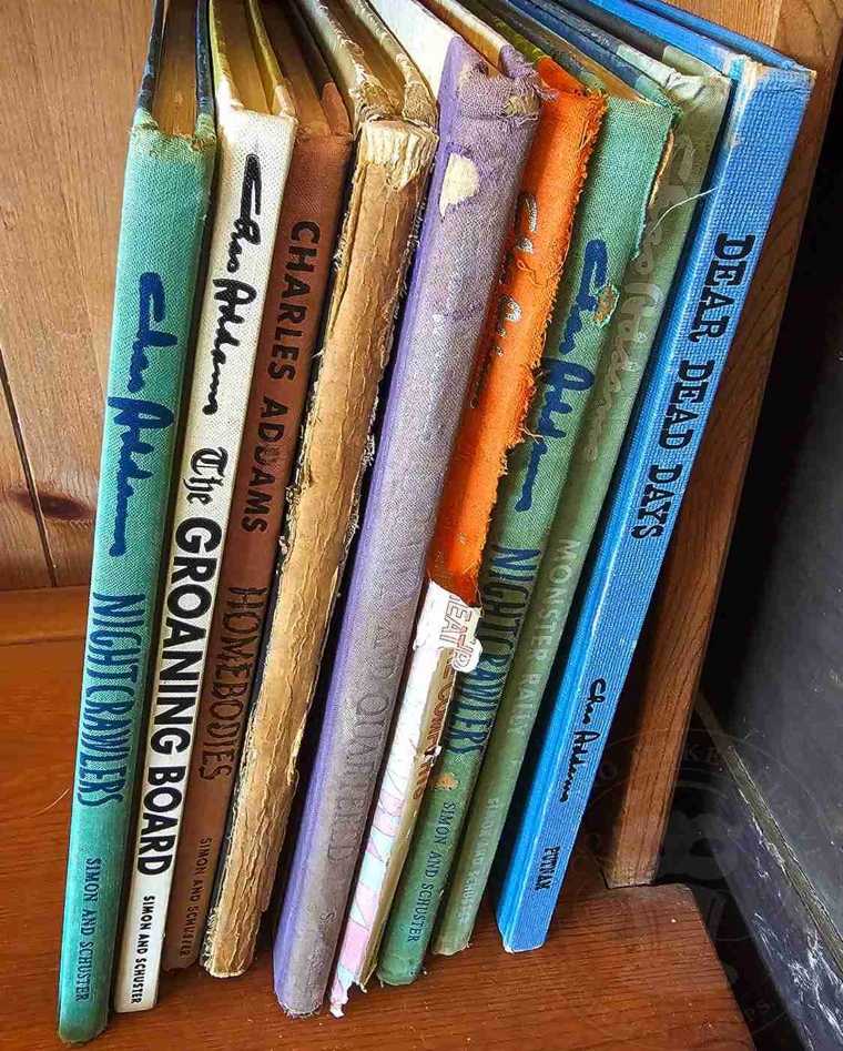 Haunted Haul - Addams Family Books