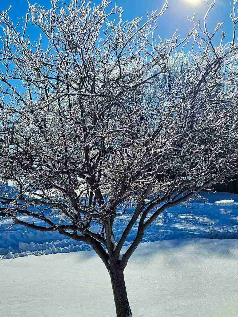 Snowmageddon Salina Kansas 2025