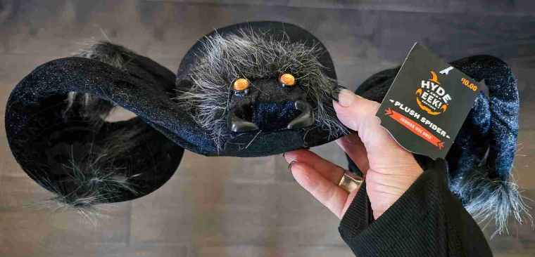 Halloween Spider from Target