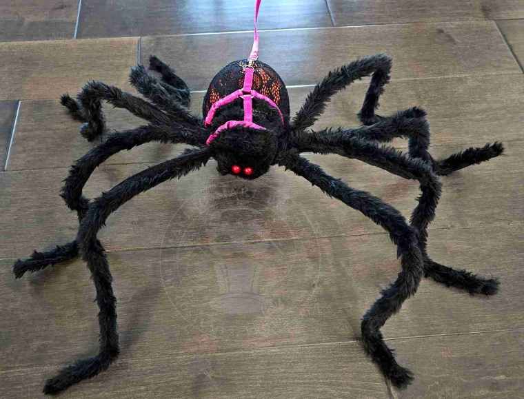 Light Up Halloween Spider On A Leash