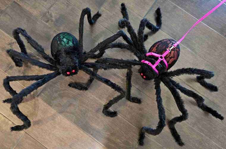 Light Up Halloween Spiders