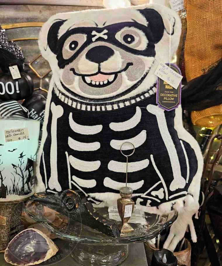Halloween Midnight Magic Faux Fur Pug Pirate Fall Find