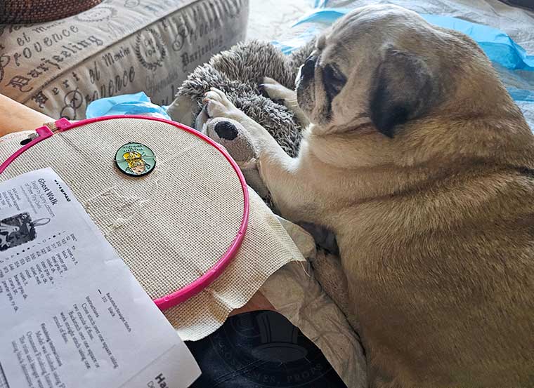 Lily watching me cross stitch one last time