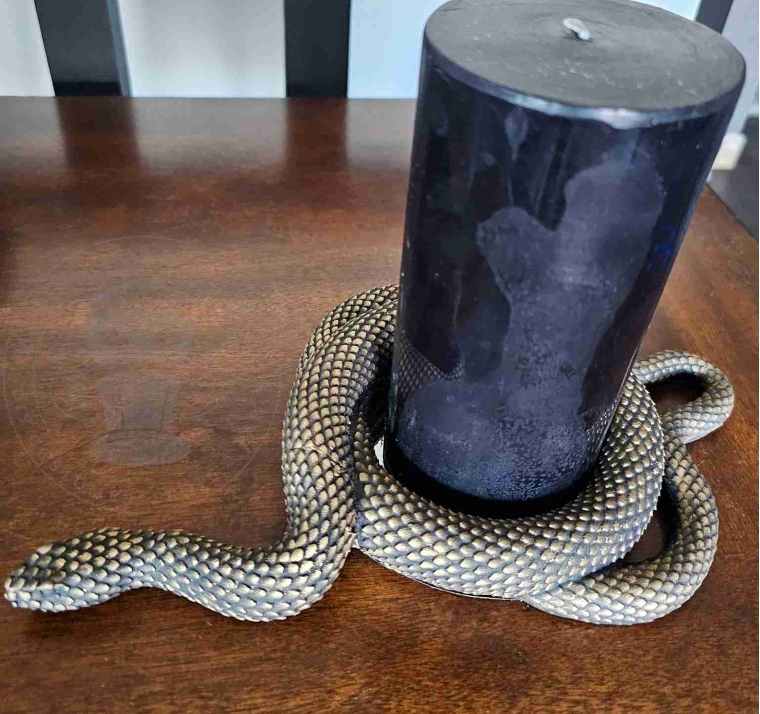 Halloween Hacks Moody Snake