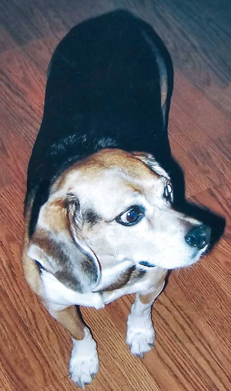 Newman Bleu