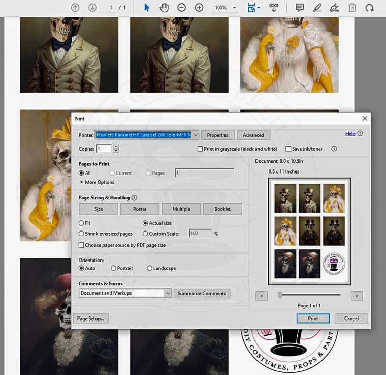 Print Setting for Halloween Royal Portrait Skeleton Ornament Images