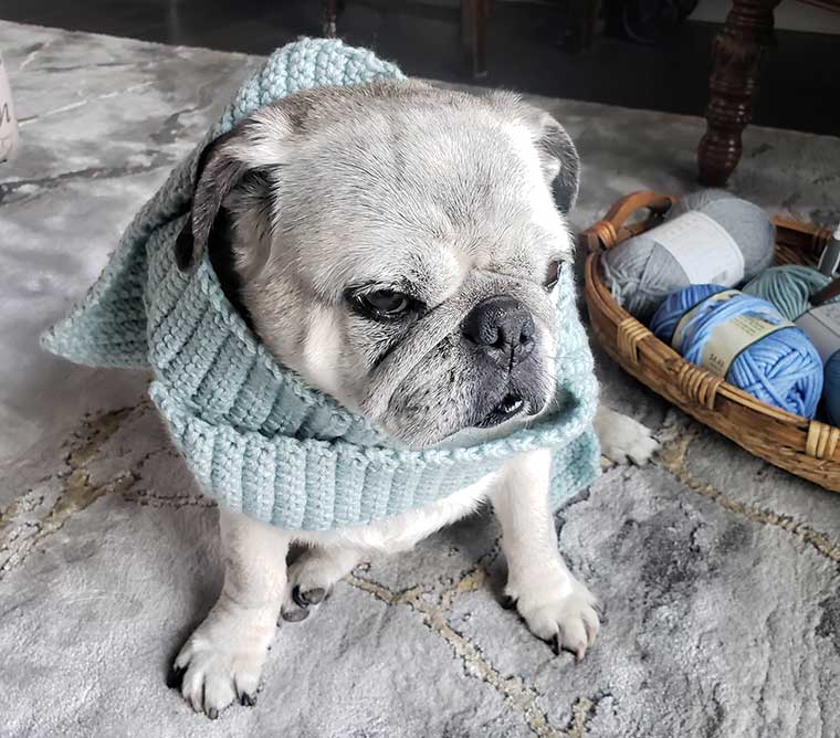 Lily helping me with my crochet
