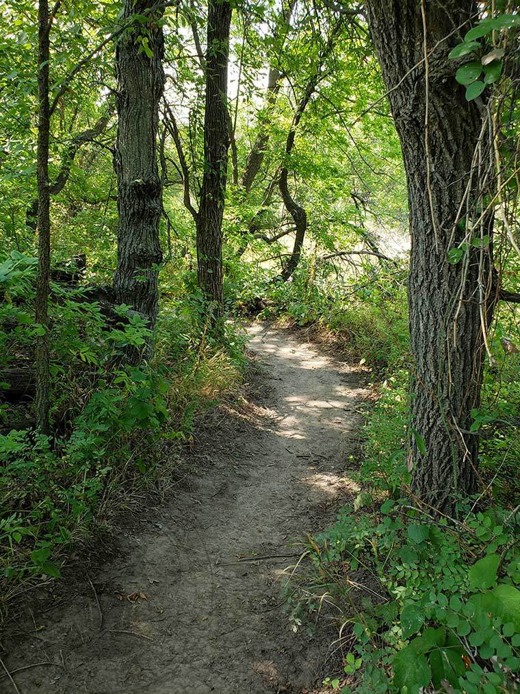 Nature hike