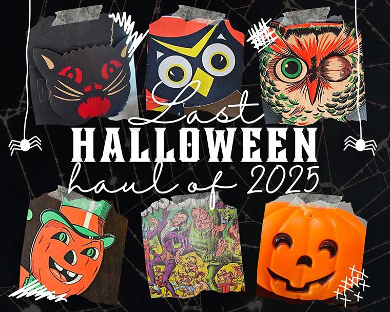 Last Halloween Haul of 2025