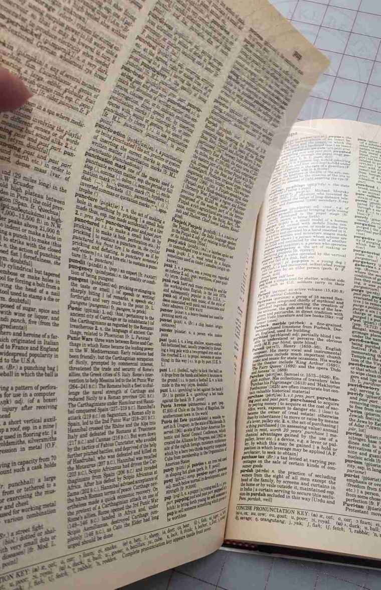 Remove page from dictionary