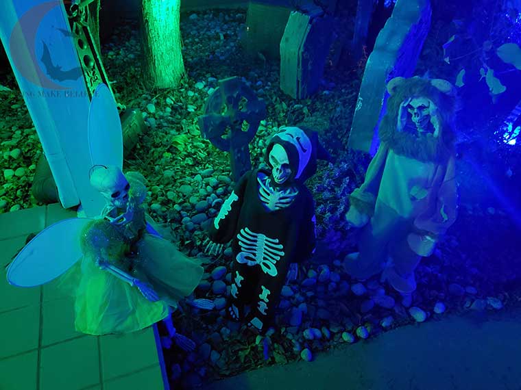 Trick or treat skeletons